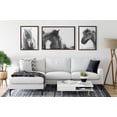 thumbnail image 6 of Kate and Laurel Sylvie Noble Black and White Framed Canvas Wall Art by Alicia Abla, 23x33 Brown, Country Farmhouse Animal Wall Décor, 6 of 6