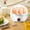White, variant on Mini Electric Egg Cooker with Double Layer Stainless Steel Design, Steams Up to 7 Eggs, Automatic Shut-Off, Easy One-Button Operation, Safe and Portable for Quick Breakfasts at Home