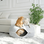 Cattasaurus Dome Donut Cat Cave Tunnel Bed, Light Gray, Large