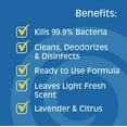 thumbnail image 3 of Gonzo Natural Magic Disinfectant Spray & Multipurpose Cleaner - Citrus - 24 Ounce (6 Pack), 3 of 5