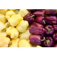 thumbnail image 6 of 100 Seeds LILAC BELL PEPPER Capsicum Annuum Sweet Mild Purple Vegetable Seeds, 6 of 10