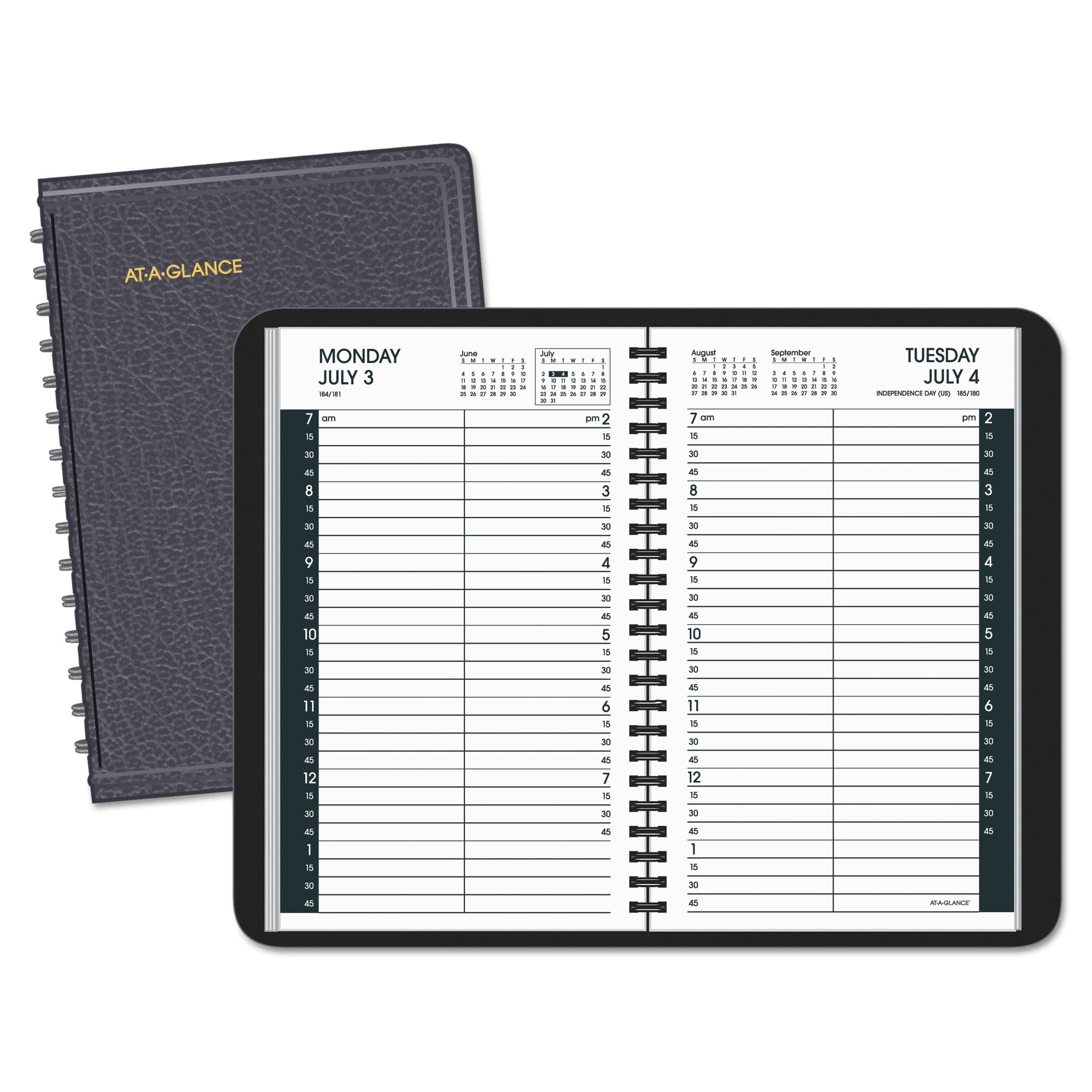 at a glance daily appointment book with 15 minute daily appointment