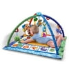 Fisher Price Songs & Smiles Discovery Gym