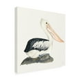 thumbnail image 2 of Trademark Fine Art 'Tropical Fun Bird II' Canvas Art by Harriet Sussman, 2 of 3
