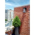 thumbnail image 2 of 2104KZ Hinkley Lighting Walker - Two Light Outdoor Medium Wall Mount in Transitional and Craftsman Style - 9.5 Inches Wide by 15 Inches High-Buckeye, 2 of 11