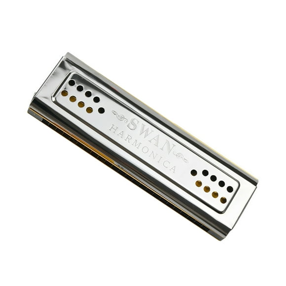 Both Sides Harmonica 24 Holes C And G Double Tones Harmonica Mouth Organ Woodwind Instruments