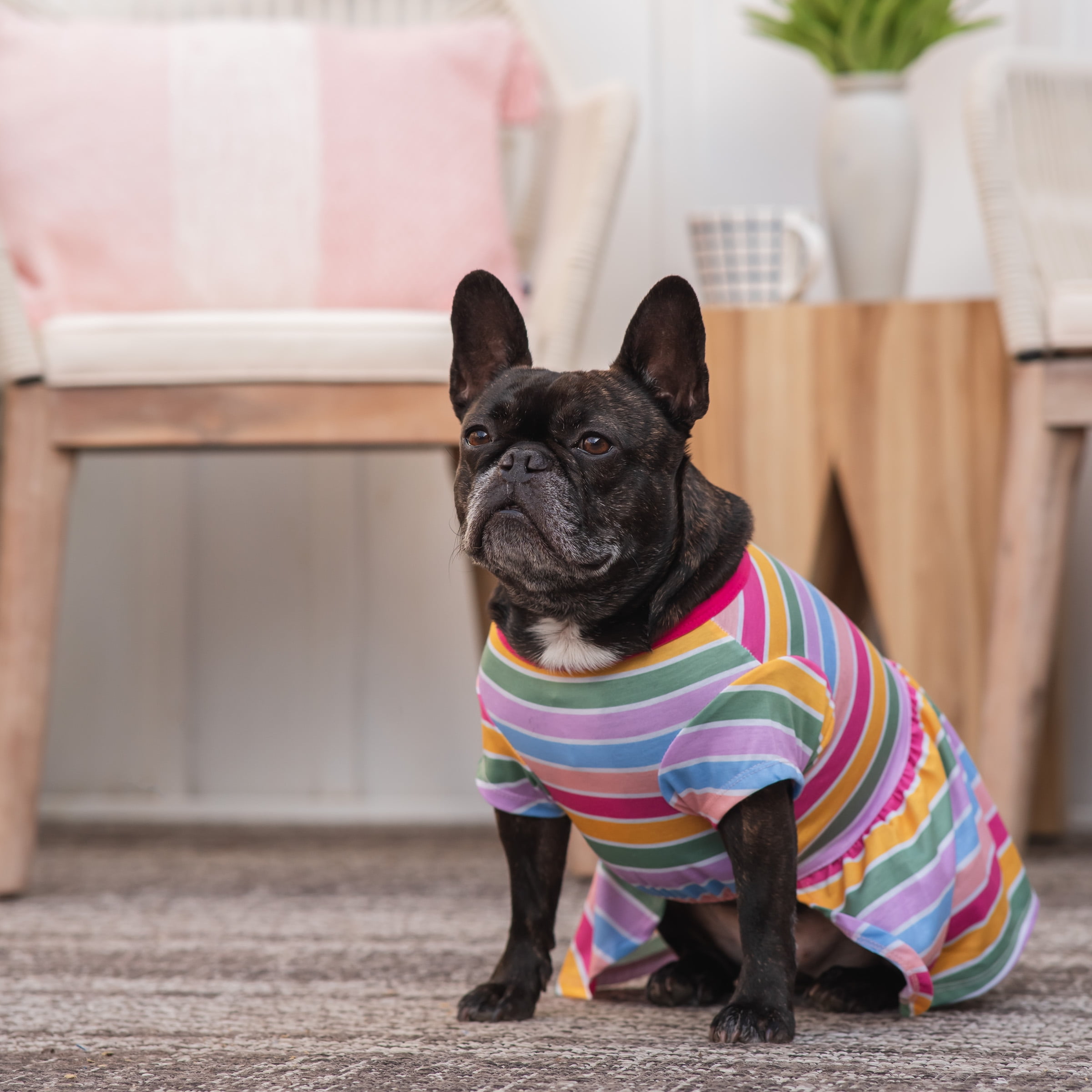 Gap Pet, Dog Clothes, Gap Striped T-Shirt, Dog and Cat Dress, Multi-Color, S