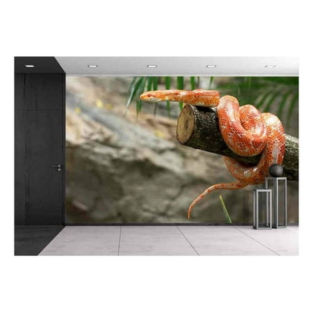 Corn Shape - wall26 - Corn Snake on a Branch - Removable Wall Mural | Self-Adhesive Large Wallpaper - 100x144 inches