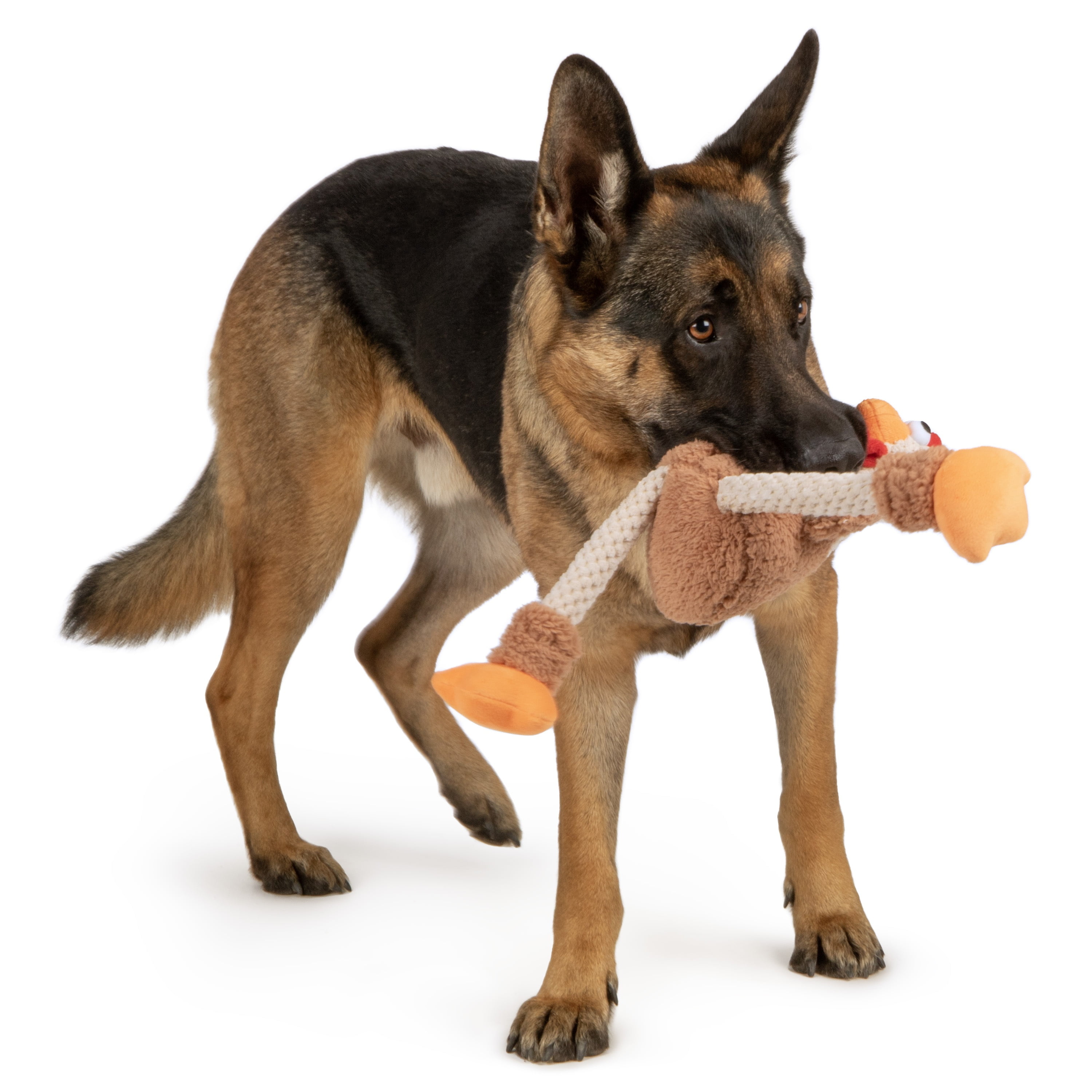 goDog Farm Friends Rooster Plush Toy for Dogs with Chew Guard Technology for Stronger & Longer Play, Soft & Durable, Built-In Squeaker, Brown, Medium