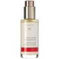 thumbnail image 1 of Moor Lavender Calming Body Oil, 1 of 3
