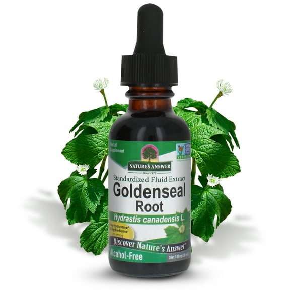 Nature's Answer Goldenseal Root, 1 Fl Oz