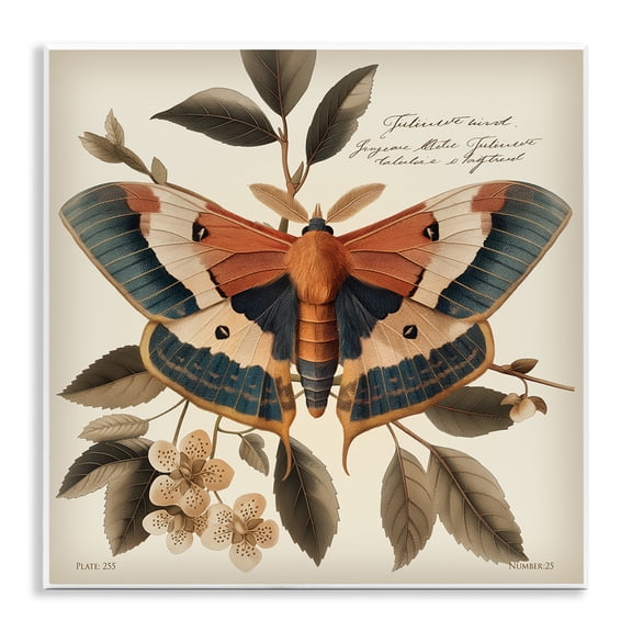 Stupell Industries Enchanting Moth & Plant Animals Painting Unframed Art Print Wall Art, 12 x 12