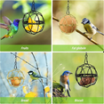 thumbnail image 3 of 6Pcs Ball Bird Feeders, Bird Suet Ball Feeders, Black, 3 of 7