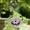 Pink, variant on Solar Powered Hanging Bird Bath with Bubbler for and Wild Birds Outdoor Garden Water Feeder