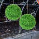 thumbnail image 4 of unbranded Bola Decorativa De Planta Artificial Para Jardín Y Ventana Con Y Resistente, 4 of 6