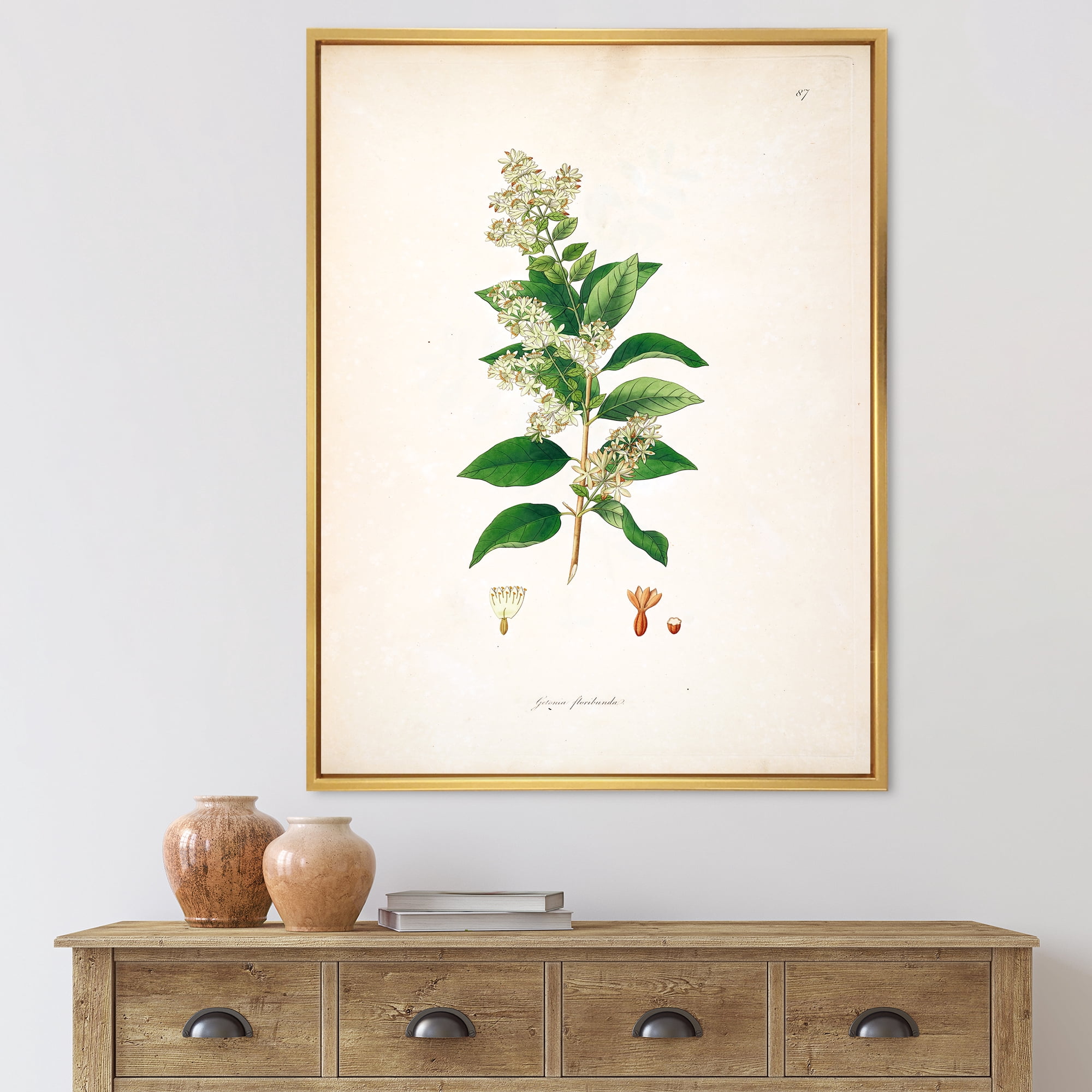 Designart 'Ancient Botanicals XVII' Farmhouse Framed Canvas Wall Art Print
