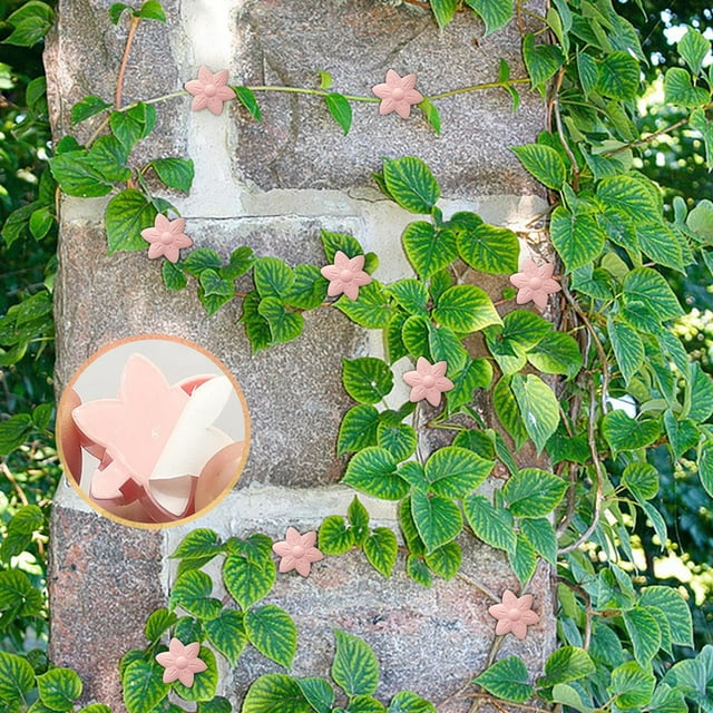 SDNall Hooks for Hanging, Wall Hooks for Hanging, Hooks for Hanging Plants, Wall Mount Clips for Climbing Self Adhesive Hooks for Plants 2025 Hanging Support Clips Adhesive Stickers