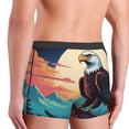 thumbnail image 5 of Daiia Cartoon Iceberg Bald Eagle Men's Underwear Boxer Briefs, Cotton Stretch Moisture-Wicking Underwear-XX-Large, 5 of 9