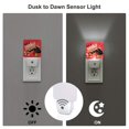 Xecao Sushi for Night Light a Wallmounted LED Fixture with A Duskto