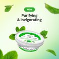 thumbnail image 2 of BIO Absorbant Purificateur d'Air, Menthe, 2 of 7