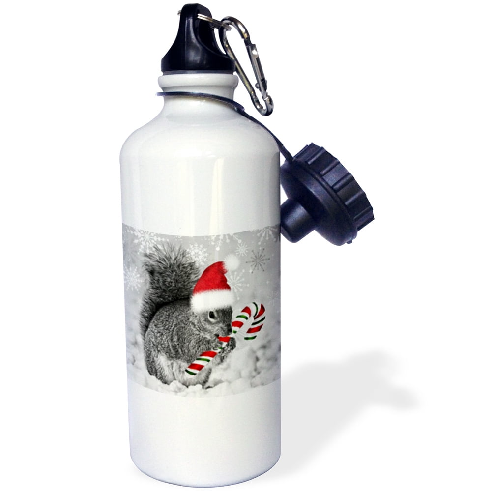 3dRose This cute Christmas squirrel has a candy cane and a Santa hat in the snow covered winter landscape. , Sports... by Supplier Generic