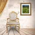 thumbnail image 3 of Terrill, Steve 26x32 Gold Ornate Wood Framed with Double Matting Museum Art Print Titled - CO, West Elks Wilderness Sneezeweed blooming, 3 of 4