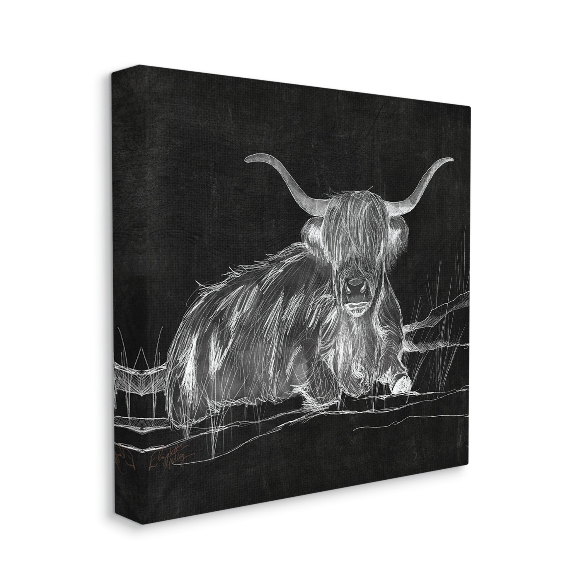 Stupell Industries Contemporary Highland Cattle Laying Negative Drawing Graphic Art Gallery Wrapped Canvas Print Wall Art, Design by Elizabeth Medley