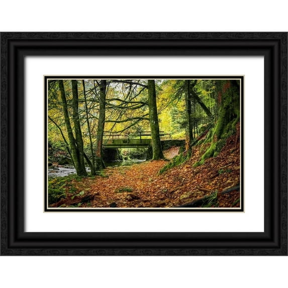 Murdock, Ramona 14x11 Black Ornate Wood Framed with Double Matting Museum Art Print Titled - Black Forest River Bridge