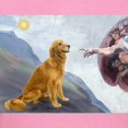 thumbnail image 3 of CafePress - Creation (#2) & Golden Women's Dark T Shirt - Women's Traditional Fit Dark T-Shirt, 3 of 4