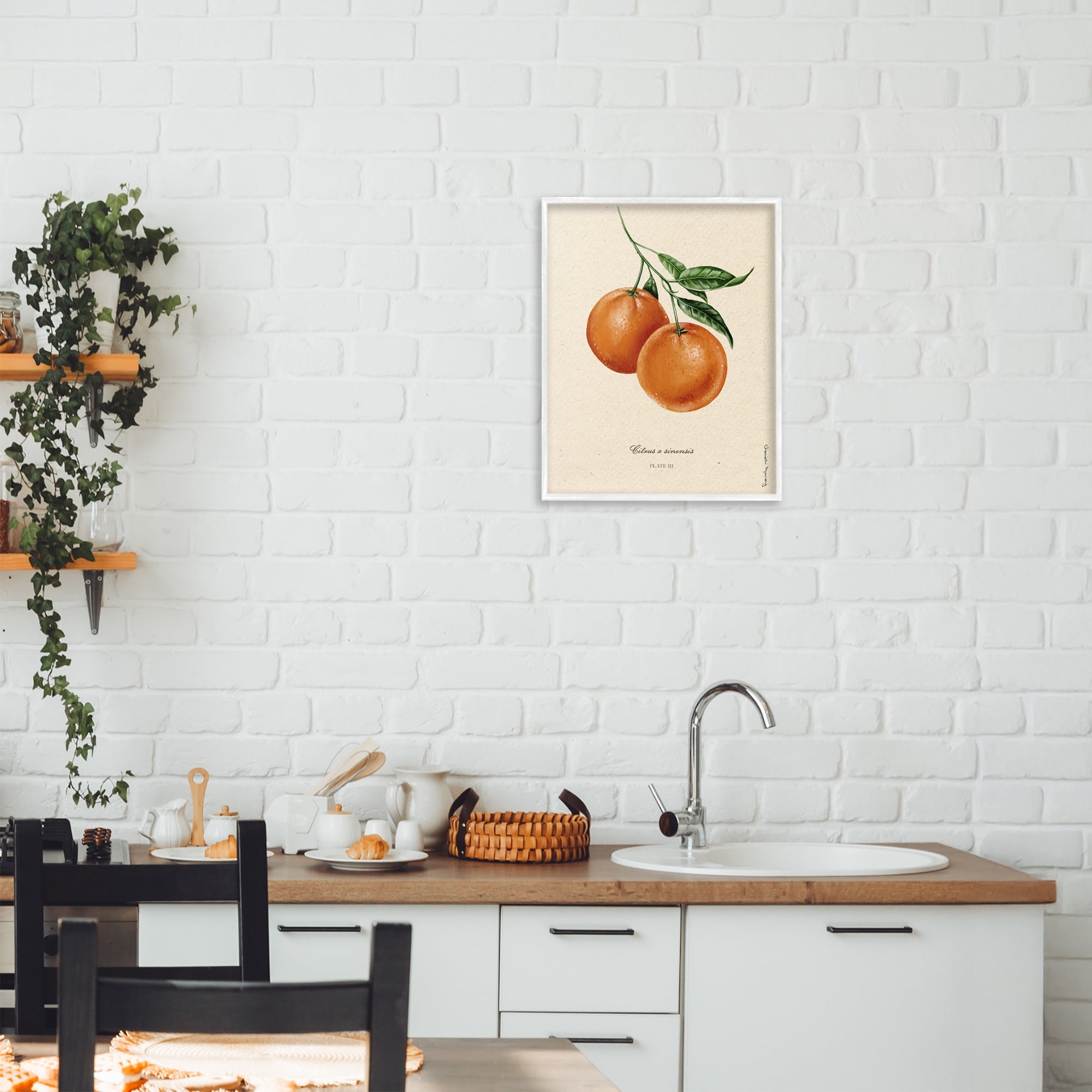 Stupell Industries Orange Fruit Portrait White Framed Giclee Art, design by Danielle Murray