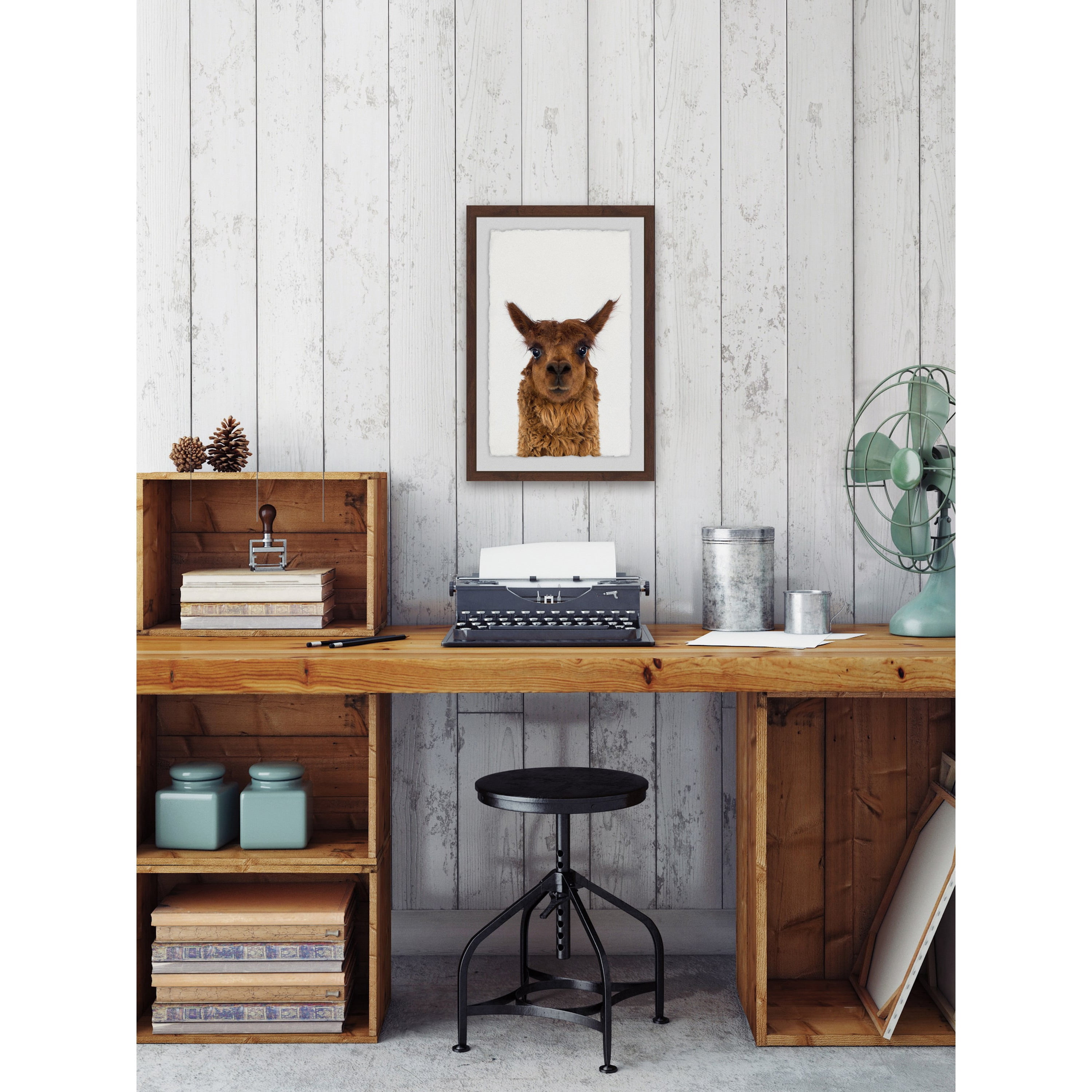Staring Llama Framed Painting Print