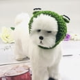 thumbnail image 2 of Pet Hat Hand-Knitted Cute 3D Frog Eye Decor Cat Hat Comfortable Warm Dog Headgear for Autumn Winter -Green,M, 2 of 8