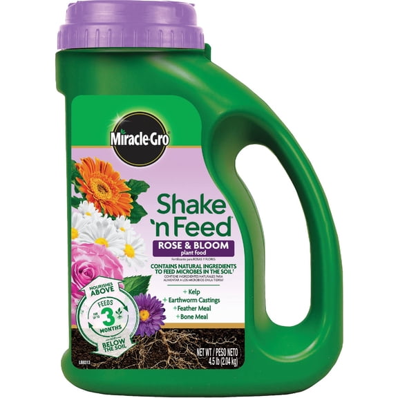 Miracle-Gro Shake 'n Feed Rose & Bloom Plant Food - Long-Lasting Granular Fertilizer for Flowering Plants, Feeds Up to 3 Months - 4.5 lbs.