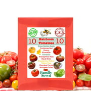 Heirloom Tomato Seeds by Family Sown - 10 Seed Packets of Non GMO Heirloom Tomatoes Including Brandywine, Mortgage Lifter, Tomatillo, Cherry Tomato Seeds and More