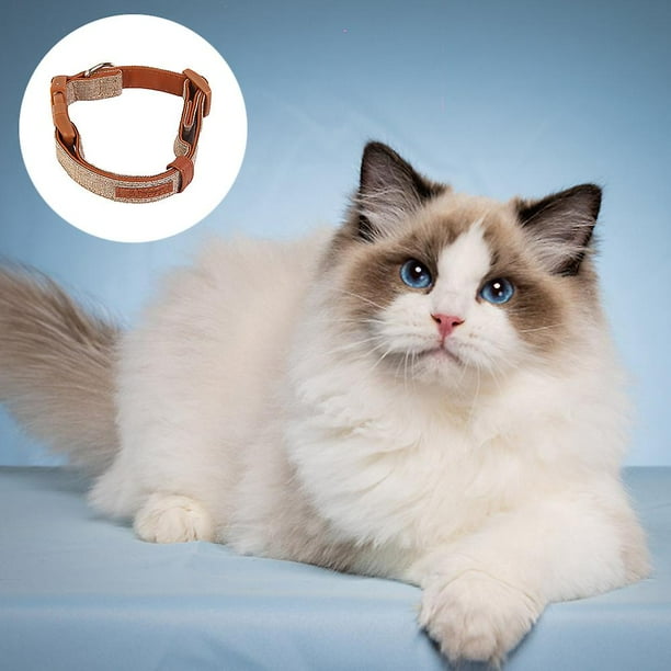 Comfort Collar Soft Cowhide Padded Dog Collar For All Breeds Reflective Velcro Patch