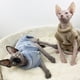 thumbnail image 3 of Methold Ropa para gatos sin pelo, respetuosa con la piel, hecha con franela transpirable, ropa cálida de invierno para gatos sin pelo Ropa para mascotas gris l, 3 of 6