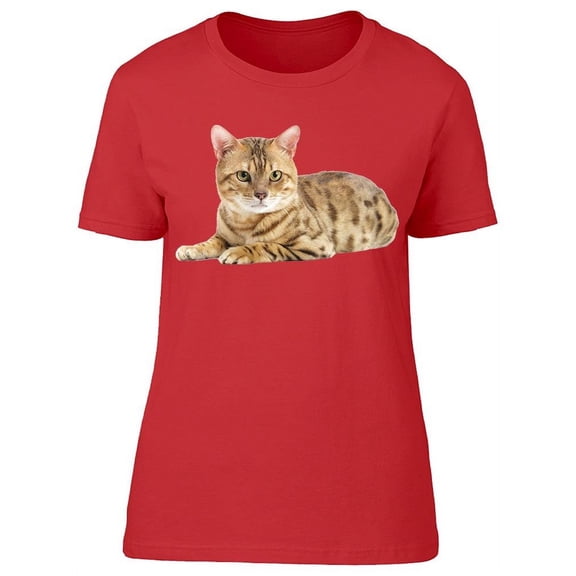 Serious Bengal Cat T-Shirt Women -Image by Shutterstock, Female Small