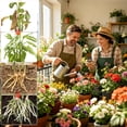 thumbnail image 3 of Soil Activator, Organic Water-Soluble Conditioner for Root Growth & Nutrient Absorption, Plant Care Treatment for Indoor & Outdoor Flowers and Vegetables, 3 of 9