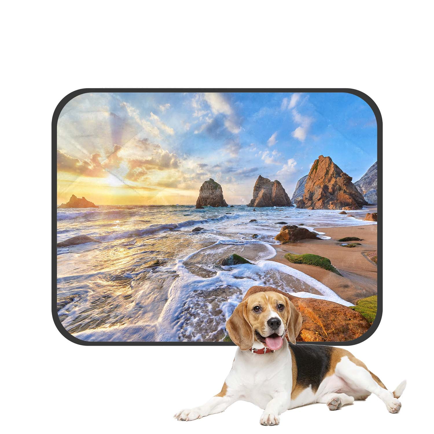 PKQWTM Atlantic Ocean Rocks Sunset Waves Foam Green Moss Pet Dog Cat