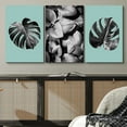thumbnail image 2 of PixonSign Canvas Print Wall Art Set Monstera Leaf & Plant Display Floral Wilderness Photography Modern Art Rustic Relax/Calm Multicolor Black and White for Living Room, Bedroom, Office - 24"x36"x3, 2 of 5
