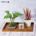 thumbnail image 4 of Unique Bargains 12x8' Rectangular Wood Serving Tray Decorative Platter Home Kitchen Candle, Brown, 4 of 6