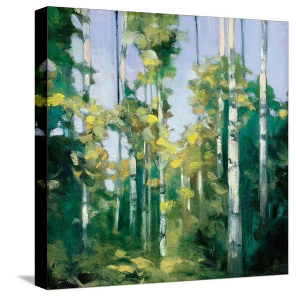 Art.com Birches Stretched Canvas Print Wall Art by Julia Purinton, 16" x 16"