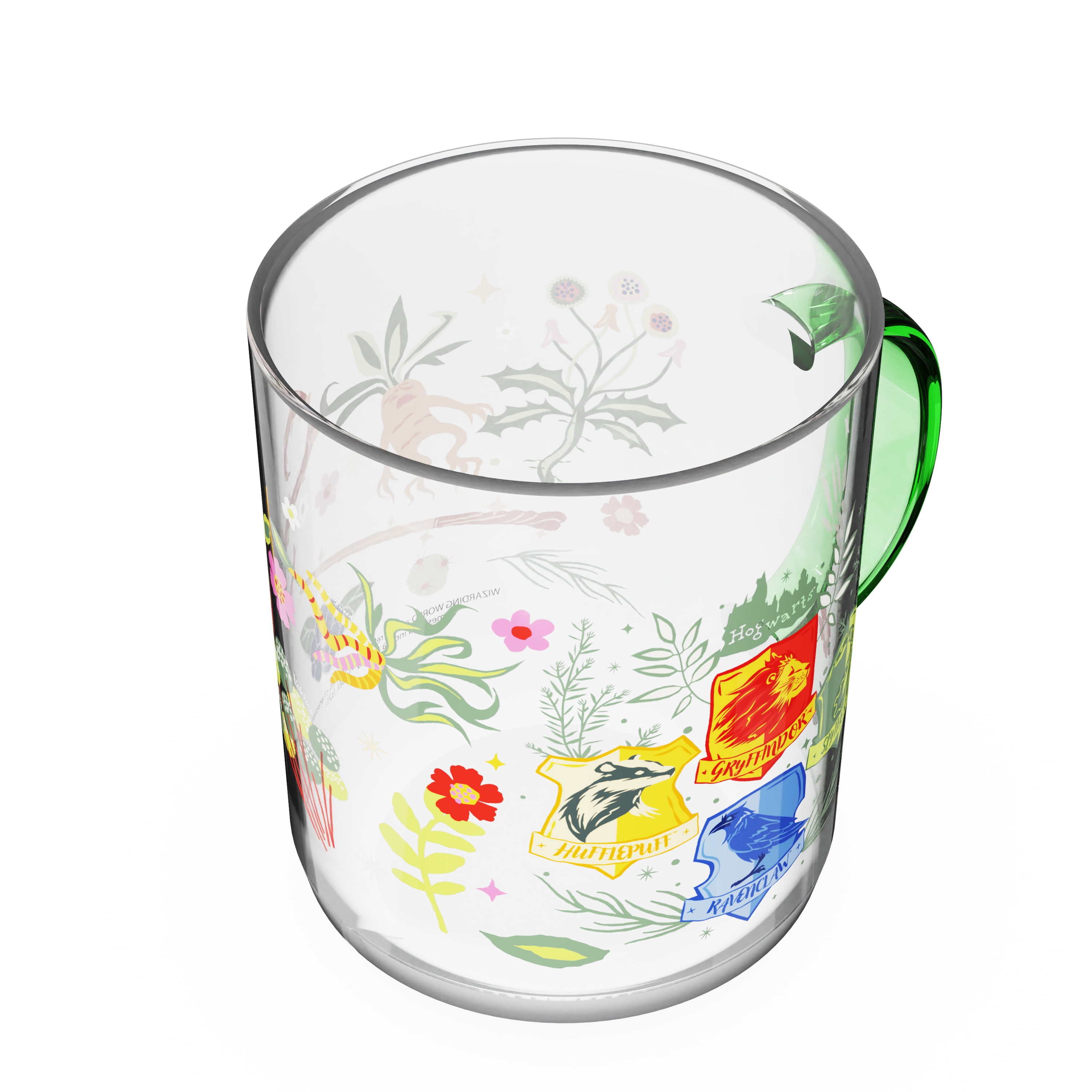 Zak Designs 14.5 oz Kaya Glass Mug with Colored Handle - Harry Potter