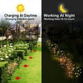 thumbnail image 5 of Solar Garden Lights Outdoor, Yard Decor Fairy Lights for Pathway Backyard Walkway Patio, 5 of 5