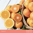 thumbnail image 7 of Advanced Clinicals Vitamin C Hand Cream for Dry Hands 8 fl oz, 7 of 7