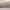 Ivory/Grey, variant on SAFAVIEH Florida Tyler Geometric Waves Shag Runner Rug, Grey/Black, 2'3" x 5'