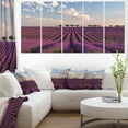 thumbnail image 1 of Shiny Lavender Field in Provence - Landscape Canvas Wall Art, 1 of 3