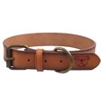 thumbnail image 1 of Collar de cuero para perros, ajustable, duradero y resistente., 1 of 5