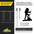 thumbnail image 5 of Cascade Mountain Tech Ultralight Carbon Fiber Quick Lock EVA Grip Trekking Poles, Walking or Hiking, 5 of 5