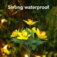 thumbnail image 5 of Daiosportswear Special Offers Solar Flower Lights Outdoor, Solar Flowers Garden Decorative Lights Waterproof Led Landscapes Stake Lights Auto On/off Bright Up To 8 Hrs, 5 of 6